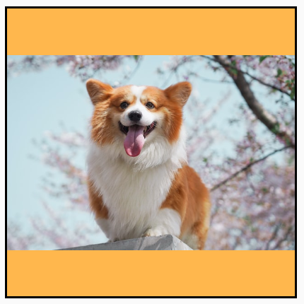 A landscape image, originally larger than its square bounds, scaled down to fit while maintaining aspect ratio, showing yellow background on the top and bottom.