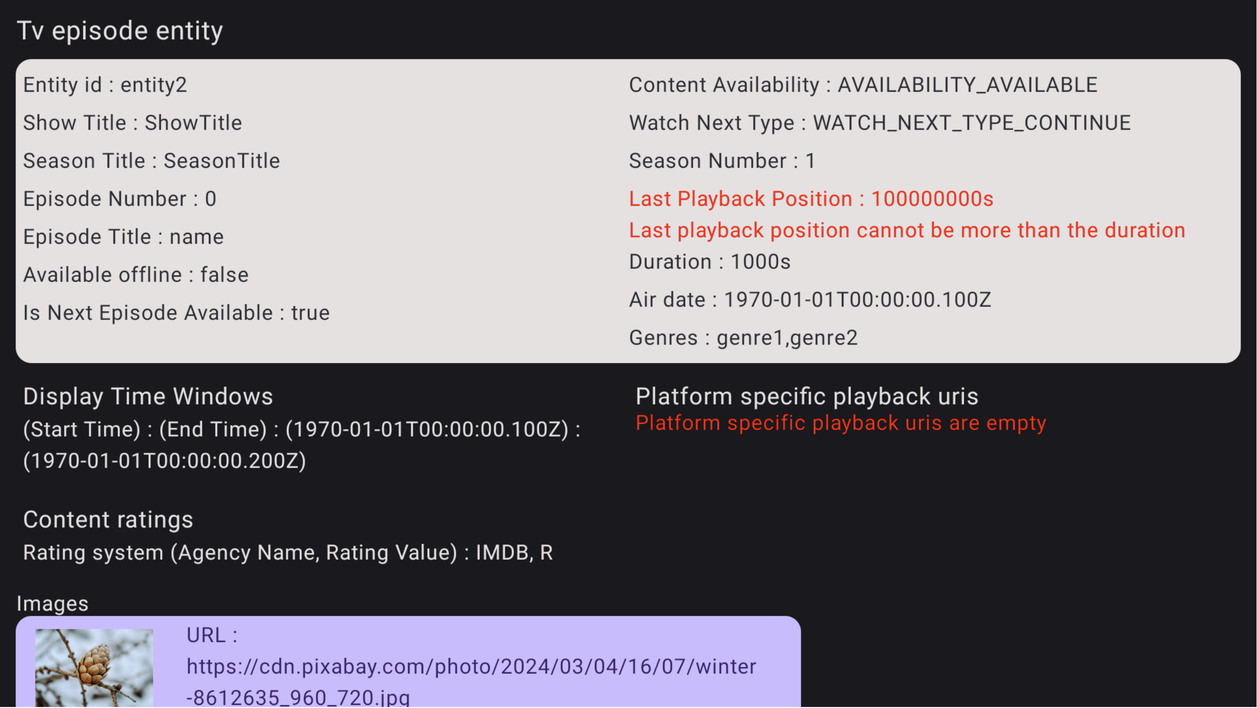 Verification App error details